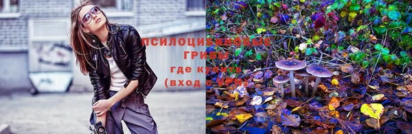 гидропоника Инсар